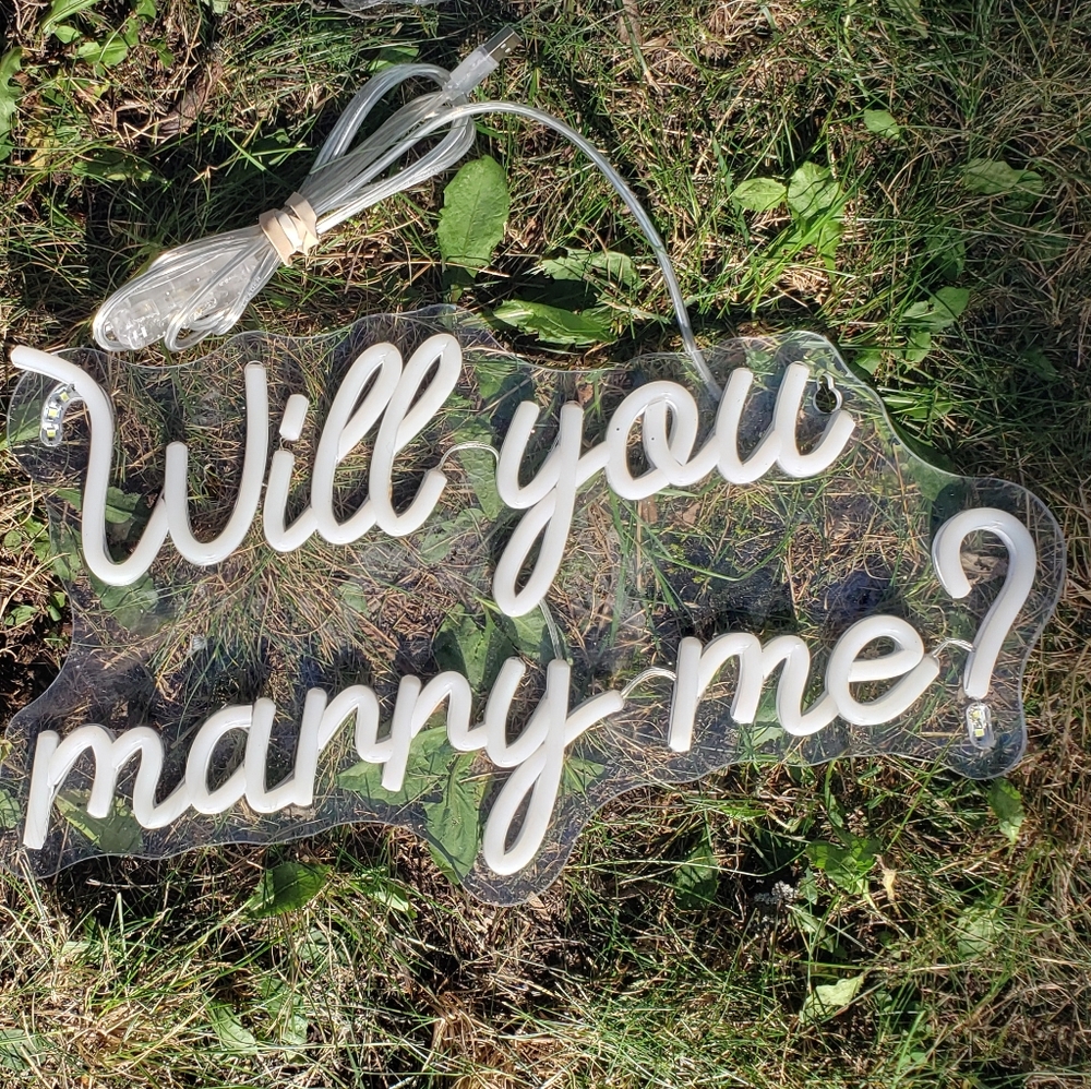 'Will You Marry Me' Sign